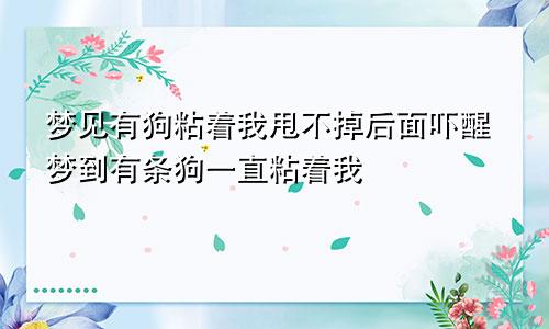 梦见有狗粘着我甩不掉后面吓醒梦到有条狗一直粘着我