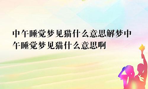 中午睡觉梦见猫什么意思解梦中午睡觉梦见猫什么意思啊