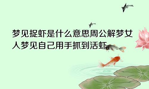 梦见捉虾是什么意思周公解梦女人梦见自己用手抓到活虾