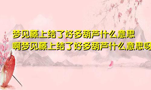 梦见藤上结了好多葫芦什么意思啊梦见藤上结了好多葫芦什么意思呀