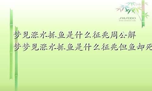 梦见涨水抓鱼是什么征兆周公解梦梦见涨水抓鱼是什么征兆但鱼却死了