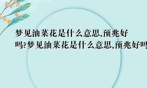 梦见油菜花是什么意思,预兆好吗?梦见油菜花是什么意思,预兆好吗?蛇还爬身上