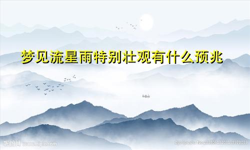 梦见流星雨特别壮观有什么预兆