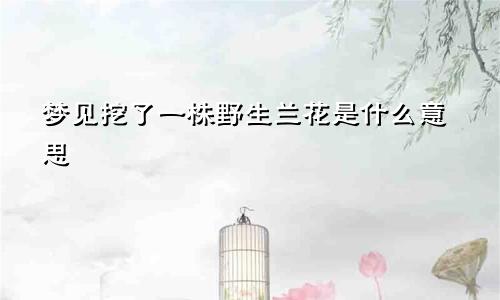 梦见挖了一株野生兰花是什么意思