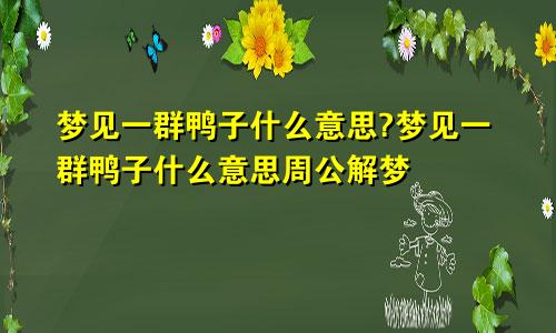 梦见一群鸭子什么意思?梦见一群鸭子什么意思周公解梦