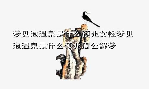 梦见泡温泉是什么预兆女性梦见泡温泉是什么预兆周公解梦