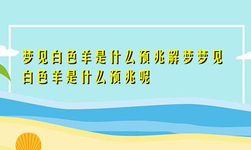 梦见白色羊是什么预兆解梦梦见白色羊是什么预兆呢