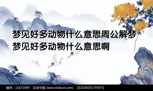 梦见好多动物什么意思周公解梦梦见好多动物什么意思啊