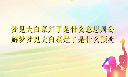 梦见大白菜烂了是什么意思周公解梦梦见大白菜烂了是什么预兆