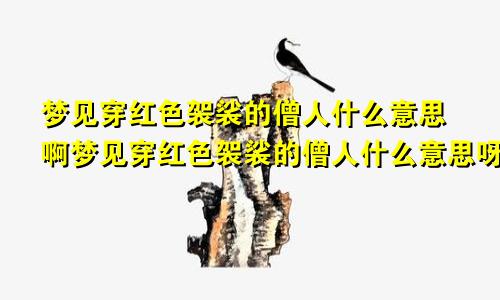 梦见穿红色袈裟的僧人什么意思啊梦见穿红色袈裟的僧人什么意思呀