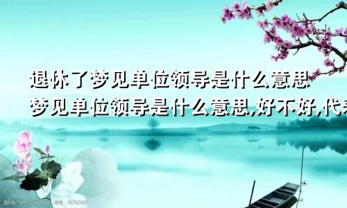 退休了梦见单位领导是什么意思梦见单位领导是什么意思,好不好,代表什么