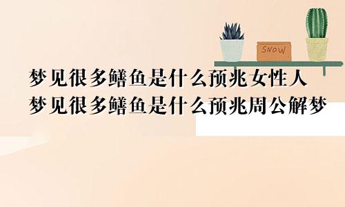 梦见很多鳝鱼是什么预兆女性人梦见很多鳝鱼是什么预兆周公解梦