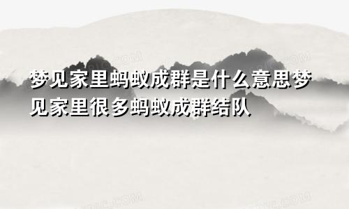 梦见家里蚂蚁成群是什么意思梦见家里很多蚂蚁成群结队