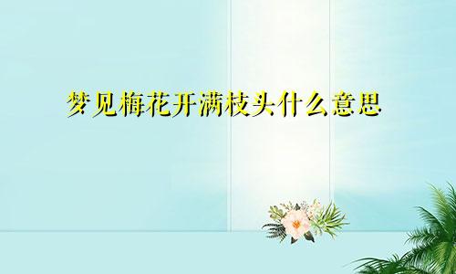 梦见梅花开满枝头什么意思