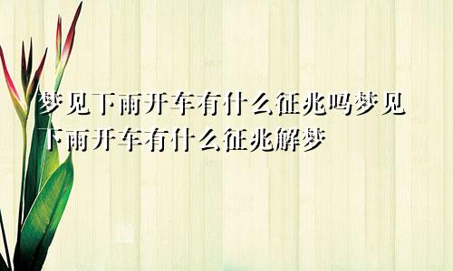 梦见下雨开车有什么征兆吗梦见下雨开车有什么征兆解梦