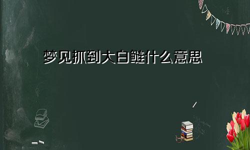 梦见抓到大白鲢什么意思