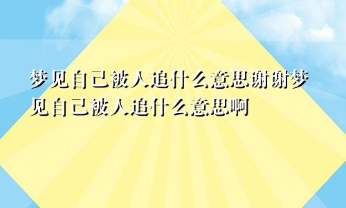 梦见自己被人追什么意思谢谢梦见自己被人追什么意思啊