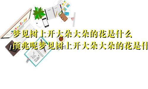 梦见树上开大朵大朵的花是什么预兆呢梦见树上开大朵大朵的花是什么预兆解梦