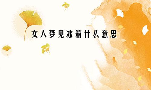 女人梦见冰箱什么意思