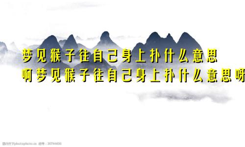 梦见猴子往自己身上扑什么意思啊梦见猴子往自己身上扑什么意思呀