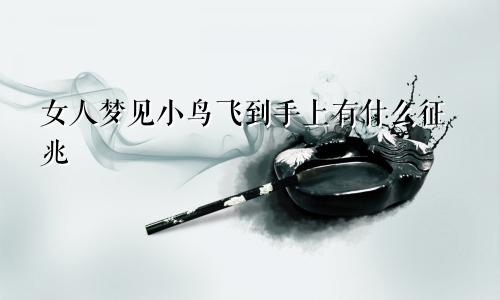 女人梦见小鸟飞到手上有什么征兆