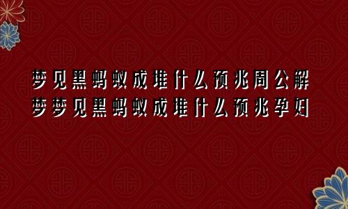 梦见黑蚂蚁成堆什么预兆周公解梦梦见黑蚂蚁成堆什么预兆孕妇