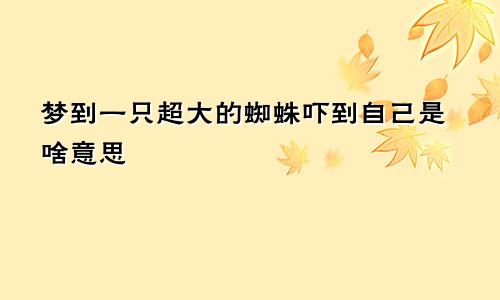 梦到一只超大的蜘蛛吓到自己是啥意思