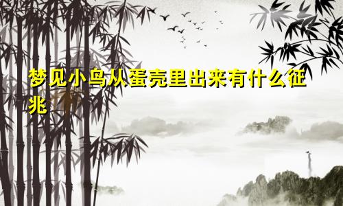 梦见小鸟从蛋壳里出来有什么征兆