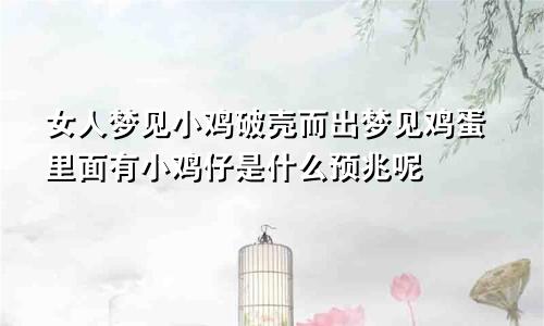 女人梦见小鸡破壳而出梦见鸡蛋里面有小鸡仔是什么预兆呢