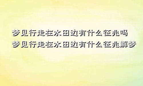 梦见行走在水田边有什么征兆吗梦见行走在水田边有什么征兆解梦