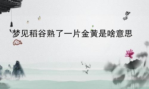 梦见稻谷熟了一片金黄是啥意思