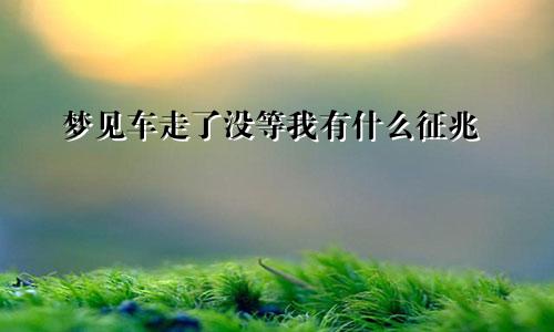 梦见车走了没等我有什么征兆