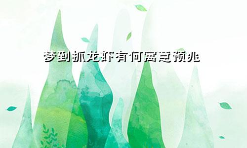 梦到抓龙虾有何寓意预兆