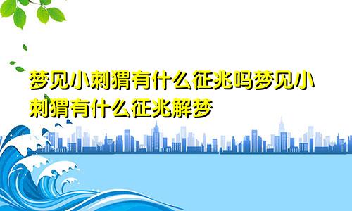 梦见小刺猬有什么征兆吗梦见小刺猬有什么征兆解梦