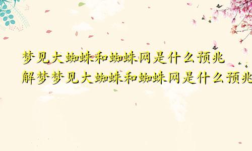 梦见大蜘蛛和蜘蛛网是什么预兆解梦梦见大蜘蛛和蜘蛛网是什么预兆女性