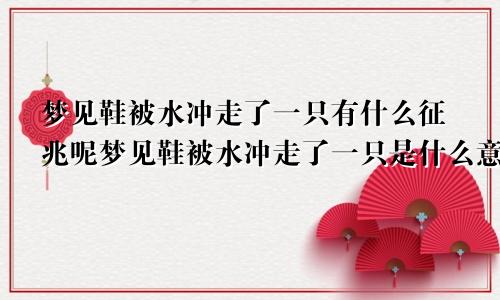 梦见鞋被水冲走了一只有什么征兆呢梦见鞋被水冲走了一只是什么意思