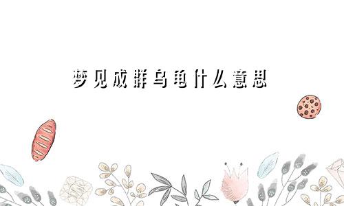 梦见成群乌龟什么意思