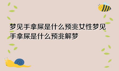 梦见手拿屎是什么预兆女性梦见手拿屎是什么预兆解梦