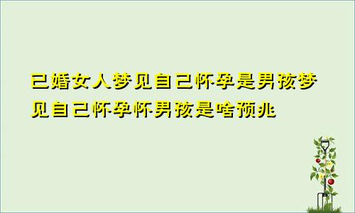 已婚女人梦见自己怀孕是男孩梦见自己怀孕怀男孩是啥预兆