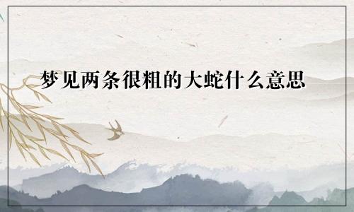 梦见两条很粗的大蛇什么意思