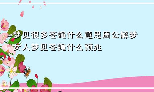 梦见很多苍蝇什么意思周公解梦女人梦见苍蝇什么预兆