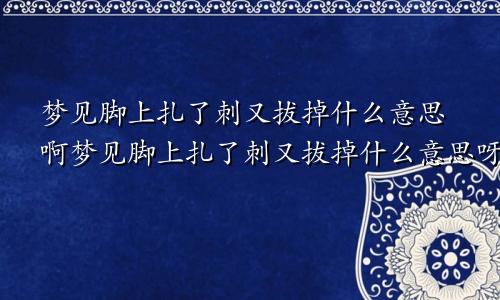 梦见脚上扎了刺又拔掉什么意思啊梦见脚上扎了刺又拔掉什么意思呀