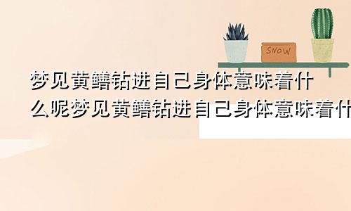 梦见黄鳝钻进自己身体意味着什么呢梦见黄鳝钻进自己身体意味着什么意思