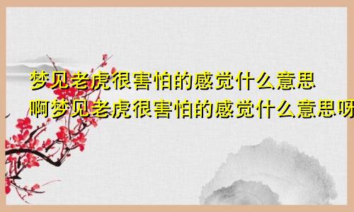 梦见老虎很害怕的感觉什么意思啊梦见老虎很害怕的感觉什么意思呀