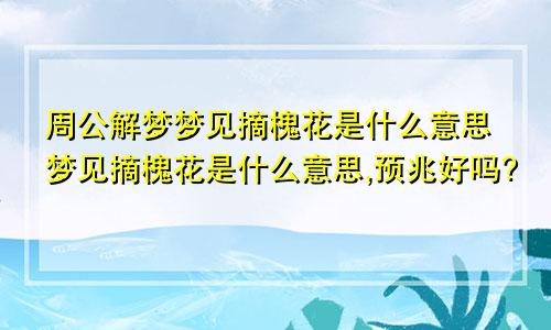 周公解梦梦见摘槐花是什么意思梦见摘槐花是什么意思,预兆好吗?