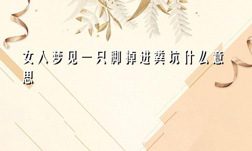 女人梦见一只脚掉进粪坑什么意思