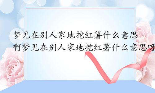 梦见在别人家地挖红薯什么意思啊梦见在别人家地挖红薯什么意思呀