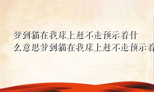 梦到猫在我床上赶不走预示着什么意思梦到猫在我床上赶不走预示着什么呢