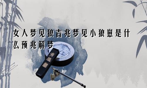 女人梦见狼吉兆梦见小狼崽是什么预兆解梦