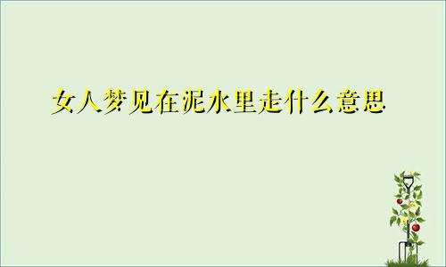 女人梦见在泥水里走什么意思